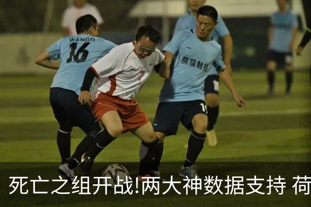 死亡之组开战!两大神数据支持 荷兰或小胜日本
